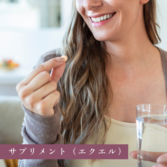 サプリメント（エクエル）